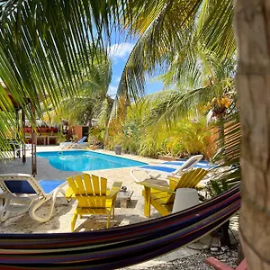 Oasis Guesthouse, Boutique Style 3* Kralendijk (Bonaire)